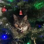 Cathy Langdon - @cathy_langdon - Instagram