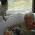 cathy langdon - @cathylangdon681 - Instagram