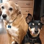 Cathy Langford - @cathy.langford.315 - Instagram