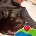 Catherine Larose - Facebook