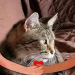 Cathy Larson - @cathy.larson.184 - Instagram