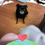 Cathy Lawson - @cathy.lawson.5283 - Instagram