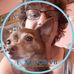 Cathy Lawson - Facebook