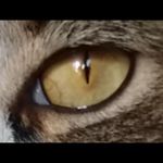 Cathy Leach - @cathyleach65 - Instagram