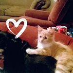 Cathy LeBlanc - @cathy.leblanc.5243 - Instagram
