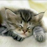 Cathy Leblanc - @cathyleblanc1969 - Instagram