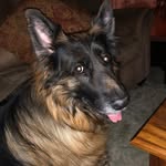 Cathy Lindquist - @cll4747 - Instagram