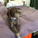 Cathy Herman Loftus - @hermanloftus - Instagram