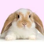 Cathy Low - @cathylow2002 - Instagram