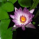 Cathy Low Pek Wen - @lowpekwen - Instagram