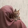 cathylow_ - @chatylow_ - TikTok