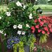 Cathy Lyon - Facebook
