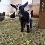 Cathy Lyon - @sweetwoodnan - Instagram