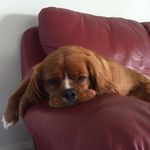 Cathy Maher - @cat_cat34567 - Instagram