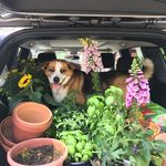 Cathy Maher Smith - @cathymahersmith - Instagram