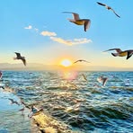 Cathy Mao - Facebook