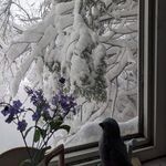 Cathy Marion-Lovelock - @cathmarionlovelock - Instagram