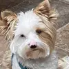 cathymarshall052 - @cathymarshall052 - TikTok