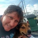 cathy marsh - @marsh2515 - Instagram