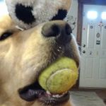 Cathy Marsh Casper - @cathymarshcasper - Instagram
