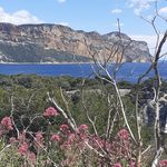 Cathy_Martel - @cathy_martel62 - Instagram