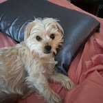 Cathy E Mashburn - @mashburncathy - Instagram