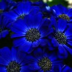 Cathy Maurer - Facebook