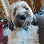 Cathy Maynard - @cathymay1111 - Instagram