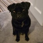 Cathy Mccarthy - @cathya1979 - Instagram