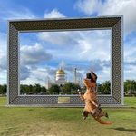 Cathy McCarthy - @cathys_gongshow - Instagram