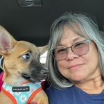Cathy McCarthy - @catshi59 - Instagram