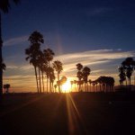 Cathy McCormick - @cathy.mccormick - Instagram