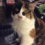 Cathy Mccormick - @cathy_mccormick - Instagram