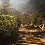 Cathy McDonough - @inclineaccounting - Instagram