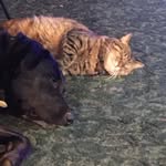 Cathy McGlathery McGovern - @mcglatherymcgovern - Instagram
