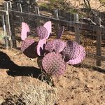 Cathy McHugh Robillard - @cathy.robillard6 - Instagram