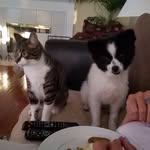 Cathy McMahon - @cmcmahon54 - Instagram