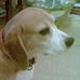 Cathy Mcmahon - Facebook