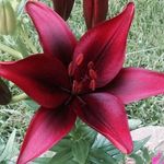 Cathy McNabb - @cathy_mcnabb_rn - Instagram
