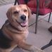 Cathy McNabb - Facebook