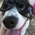 Cathy Mcwilliams Diggs - Facebook