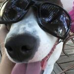 Cathy Mcwilliams Diggs - @diggs.cathy - Instagram