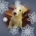 Cathy Meade - Facebook