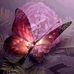 Cathy van der Mescht - Facebook