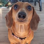 Cathy DelMei - @cathy.millard.7 - Instagram