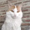 Cathysma - @cathy.miranda7 - TikTok