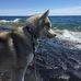 Cathy Moll - Facebook