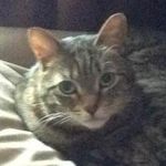 Cathy Aldrich Mosher - @cam092059 - Instagram