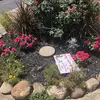 cathymosher66 - @cathymosher66 - TikTok