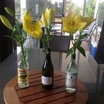 Cathie Mudge - @cathiemudge - Instagram